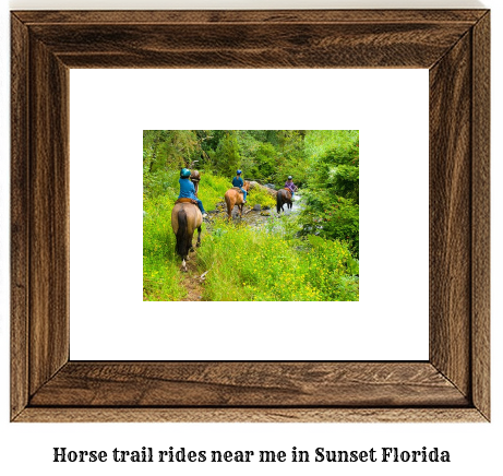 horse trail rides near me in Sunset, Florida